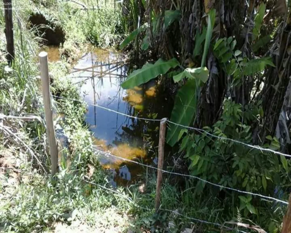 Terreno - Foto 5