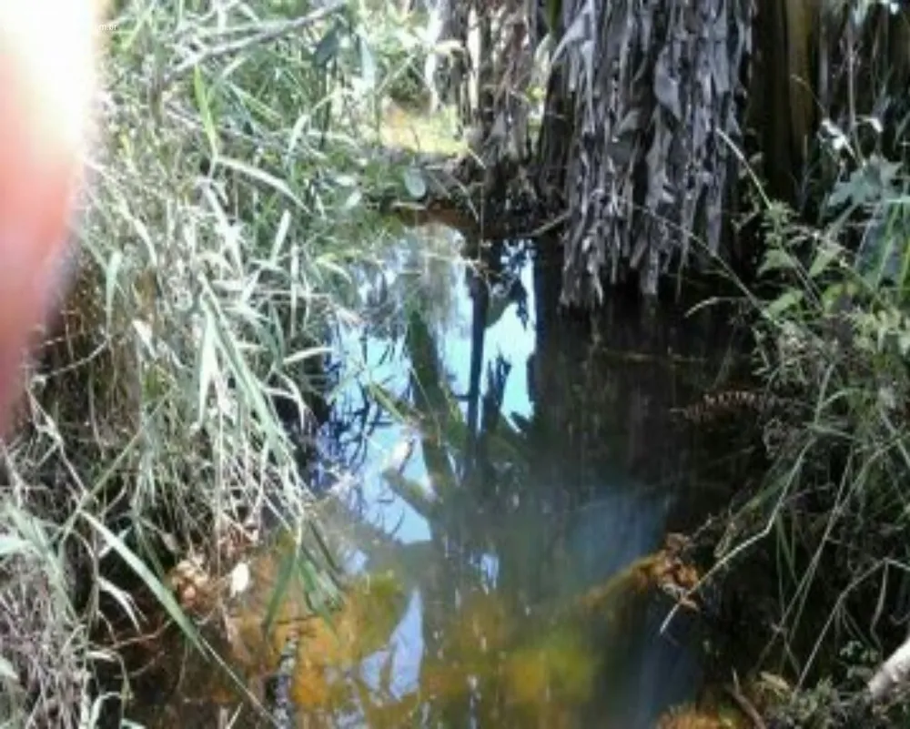 Terreno - Foto 2