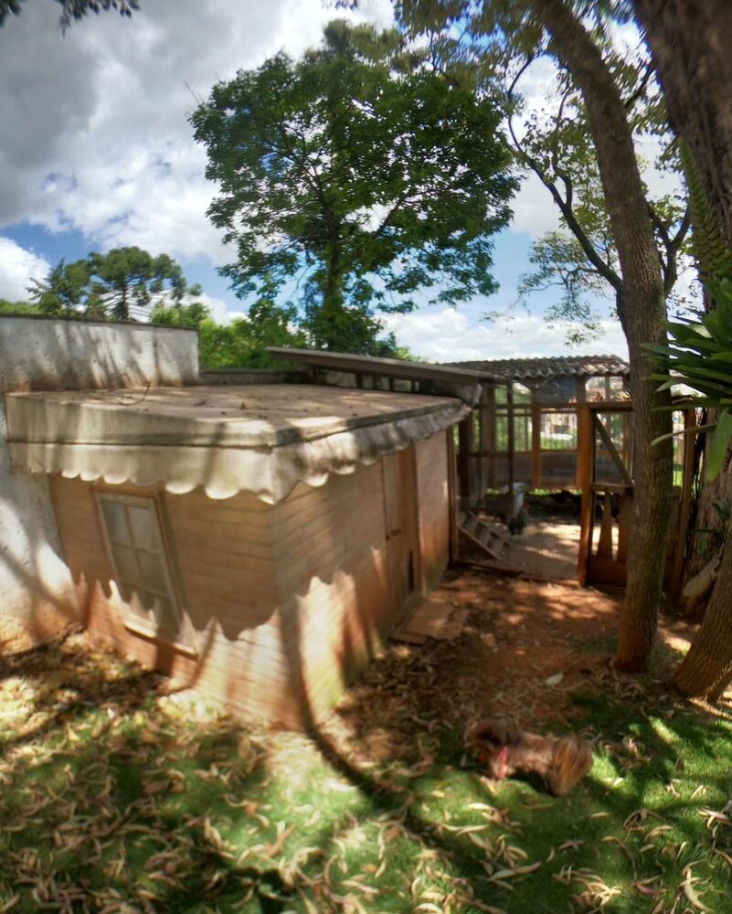 Casa, 4 quartos - Foto 12