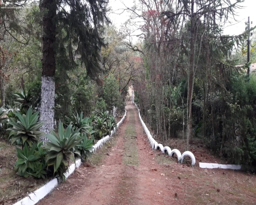 Chácara, 4 quartos - Foto 2
