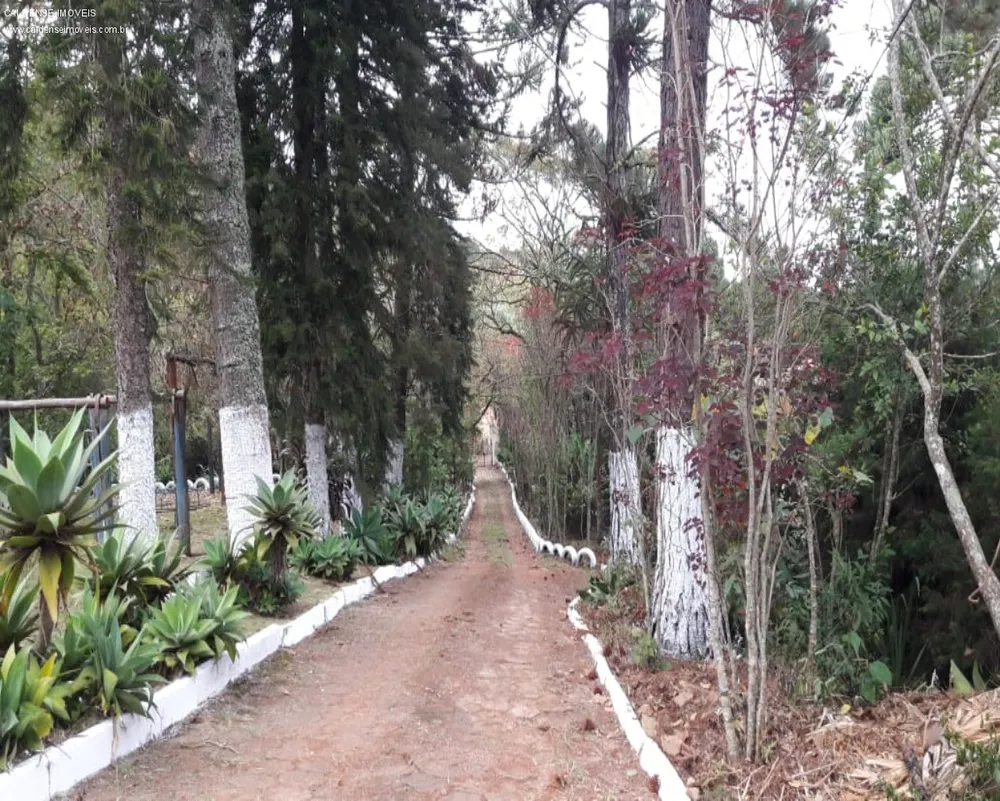 Chácara, 4 quartos - Foto 1