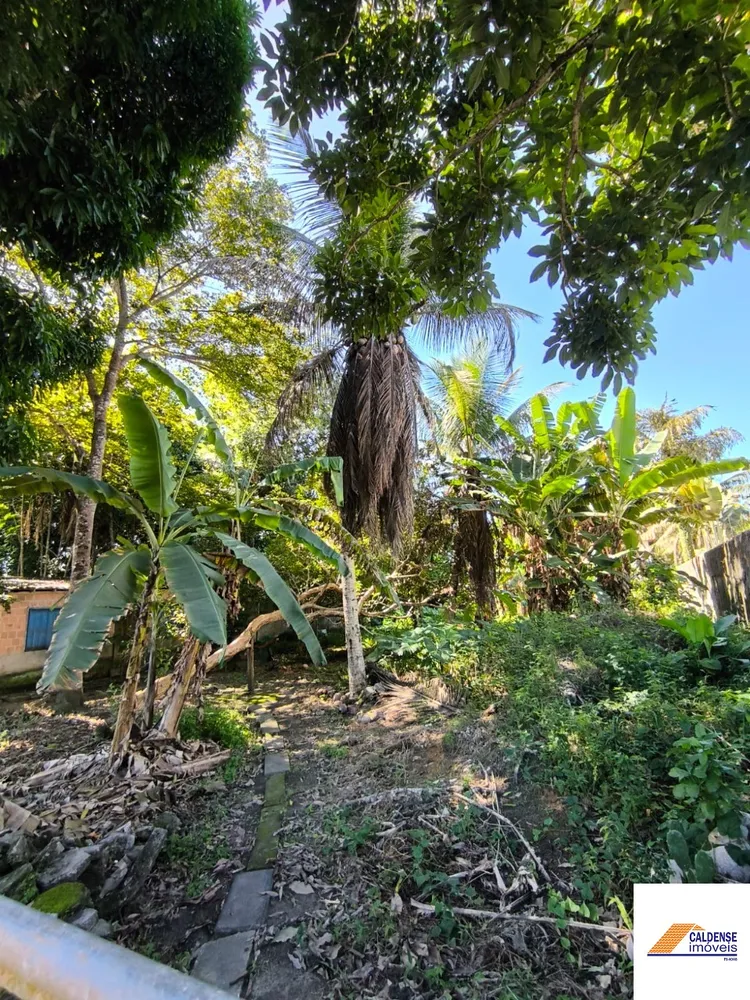 Terreno - Foto 2