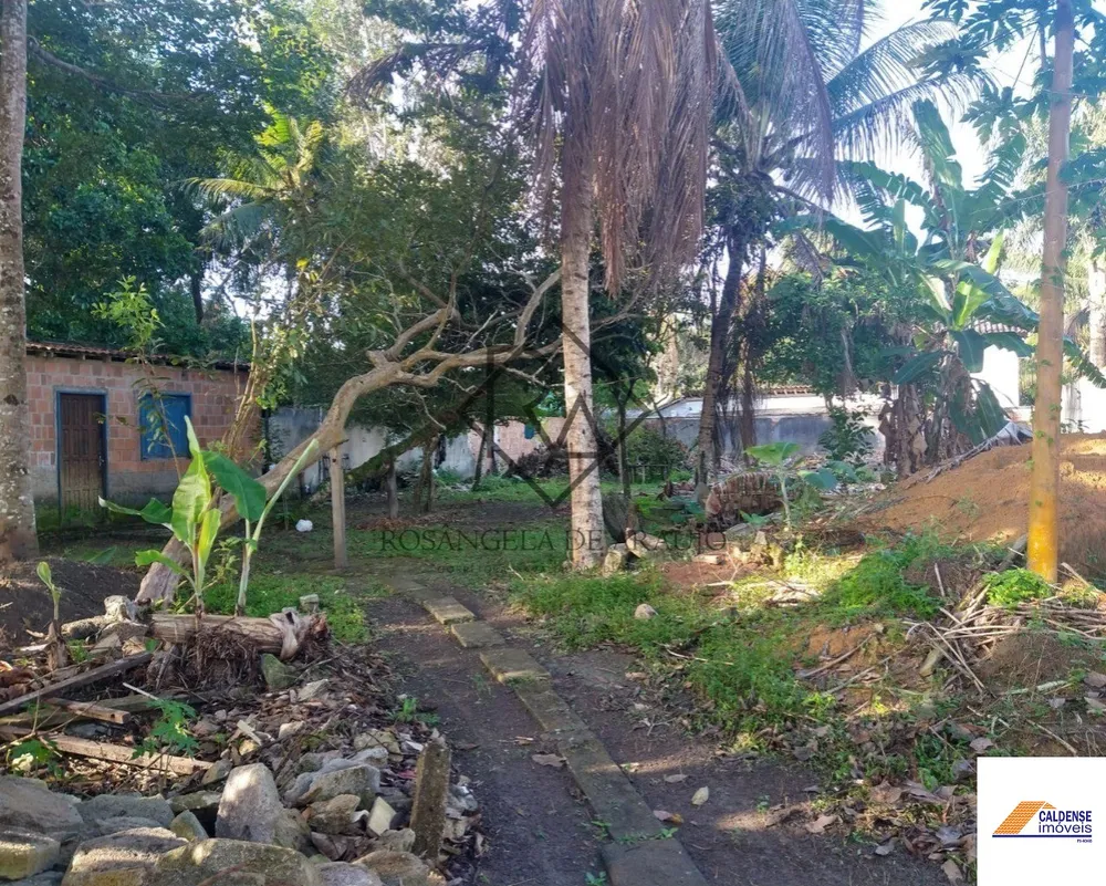Terreno - Foto 1
