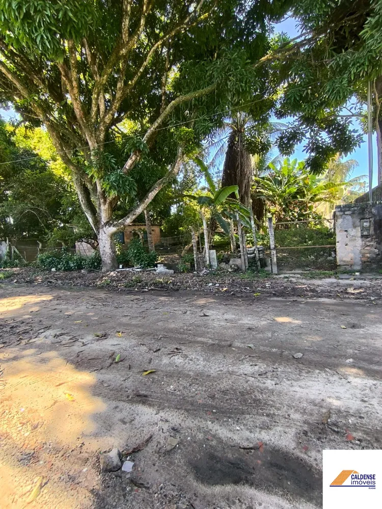Terreno - Foto 3