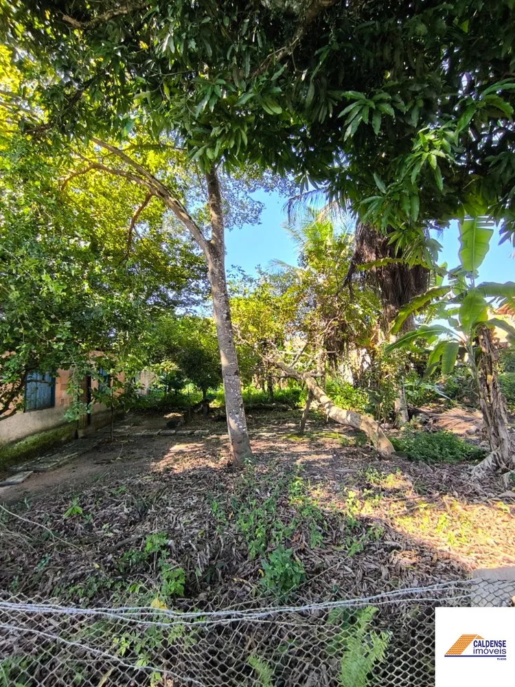 Terreno - Foto 5