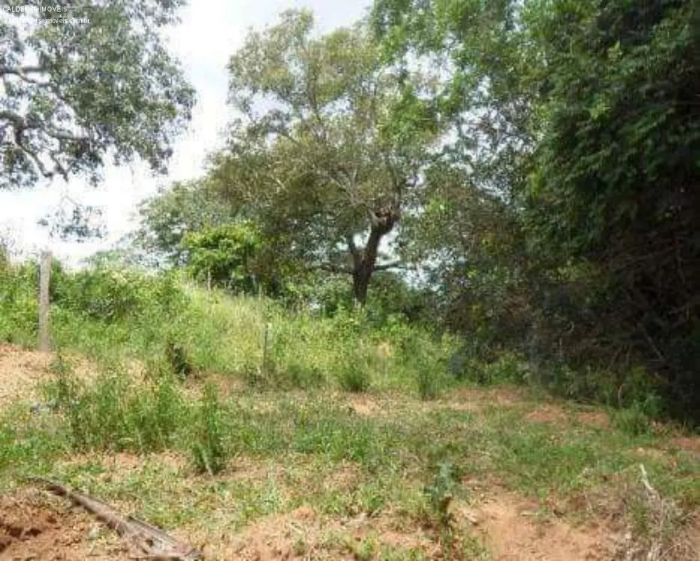 Terreno, 1000 m² - Foto 1