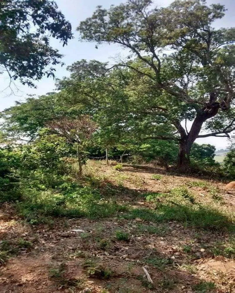 Terreno, 1000 m² - Foto 6
