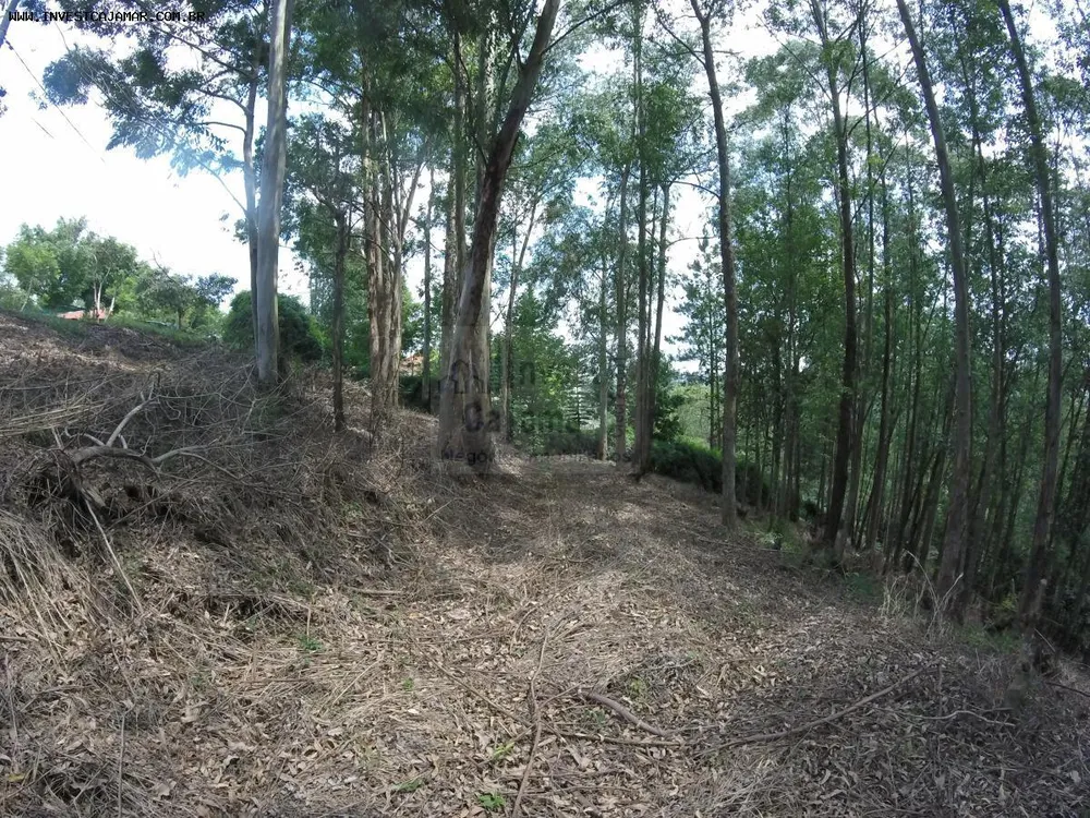 Terreno, 2033 m² - Foto 13