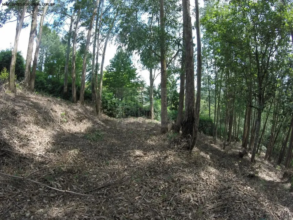Terreno, 2033 m² - Foto 11