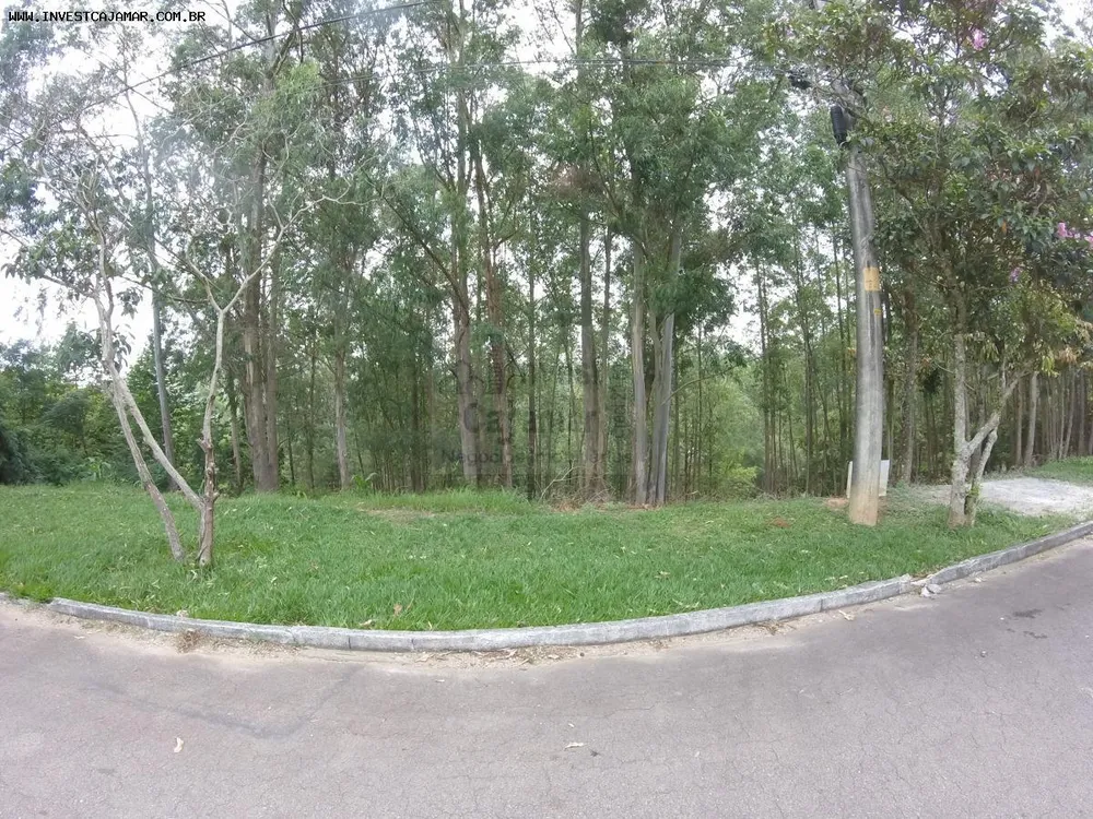 Terreno, 2033 m² - Foto 6