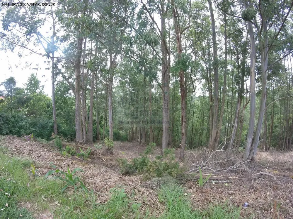 Terreno, 2033 m² - Foto 14