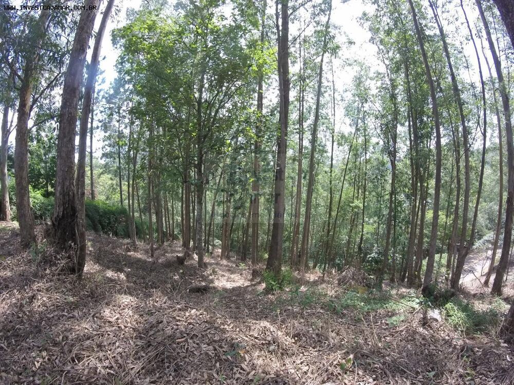 Terreno, 2033 m² - Foto 2