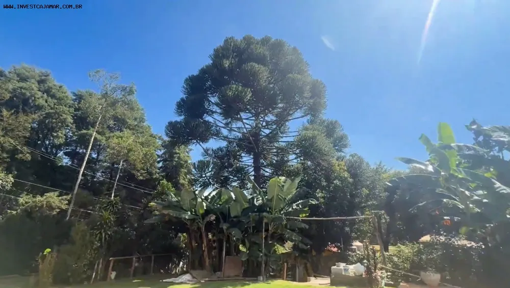Chácara, 1060 m² - Foto 9