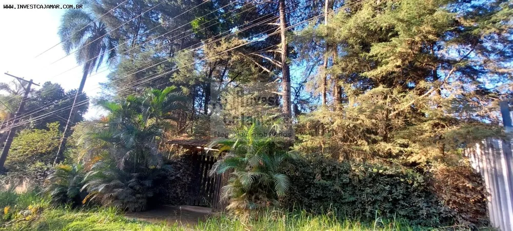 Chácara, 3 quartos, 1200 m² - Foto 8