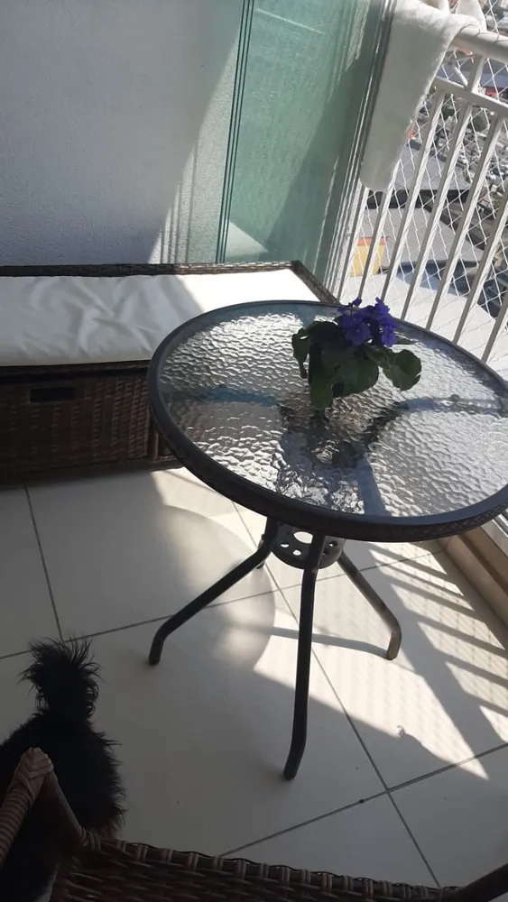 Apartamento, 3 quartos, 77 m² - Foto 3