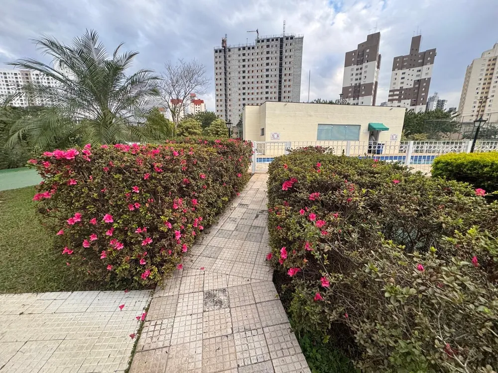 Apartamento, 3 quartos, 70 m² - Foto 8