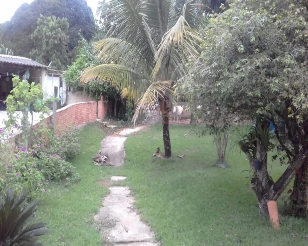 Chácara, 3 quartos, 1800 m² - Foto 3