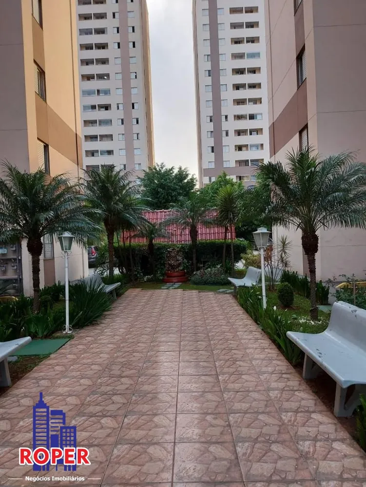 Apartamento, 3 quartos, 65 m² - Foto 16
