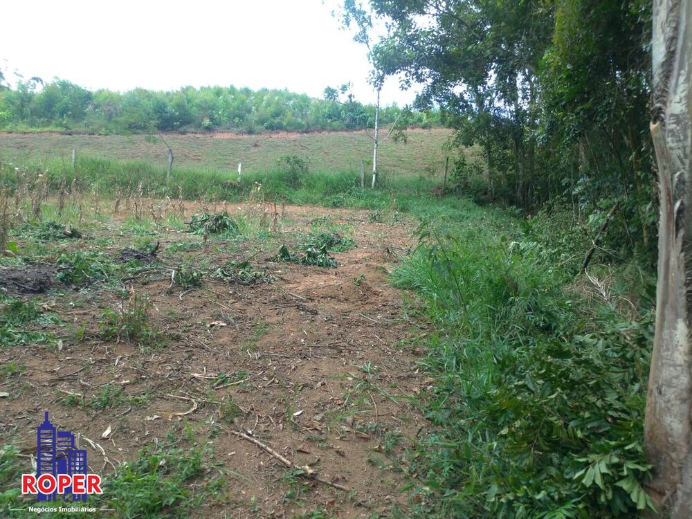 Terreno, 3000 m² - Foto 7