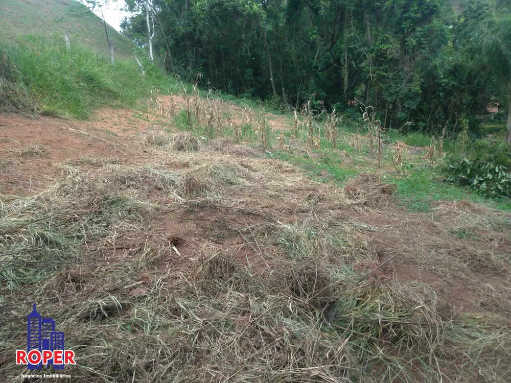 Terreno, 3000 m² - Foto 12