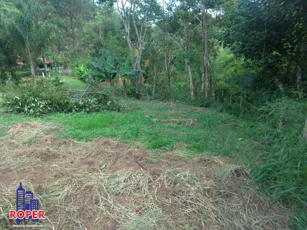 Terreno, 3000 m² - Foto 5