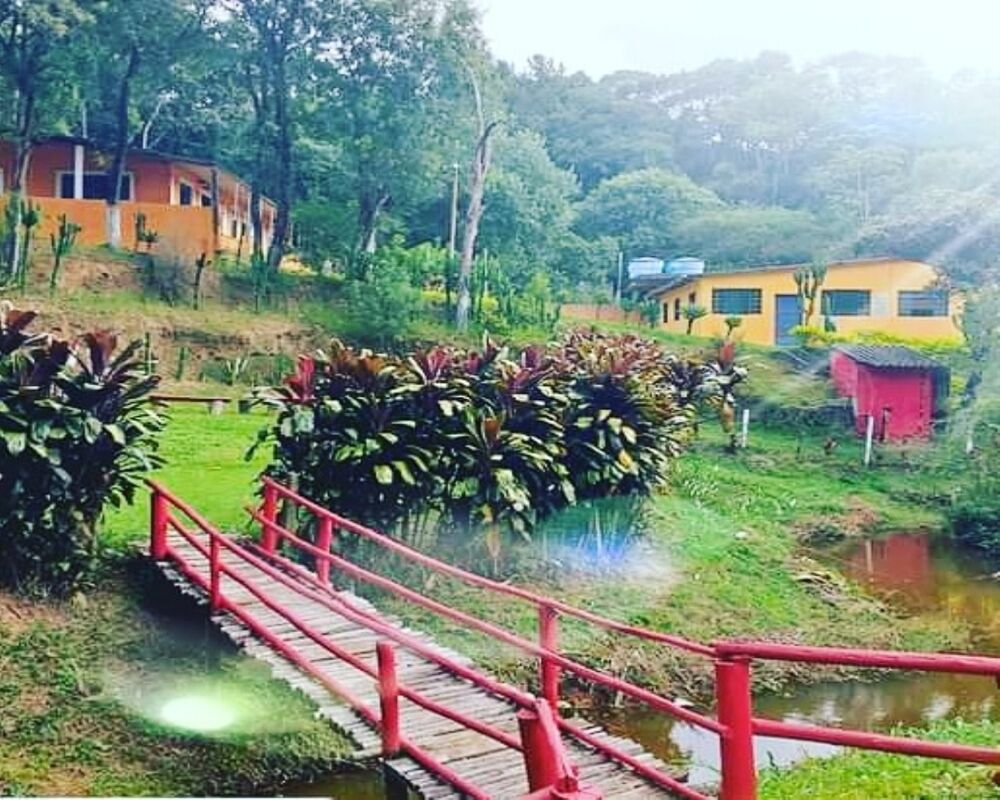 Chácara, 4 quartos, 3 hectares - Foto 4