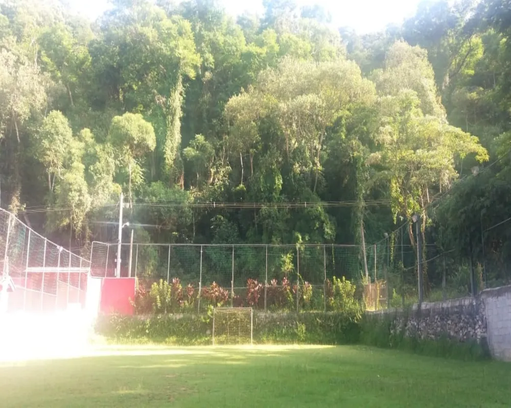 Chácara, 4 quartos, 3 hectares - Foto 3