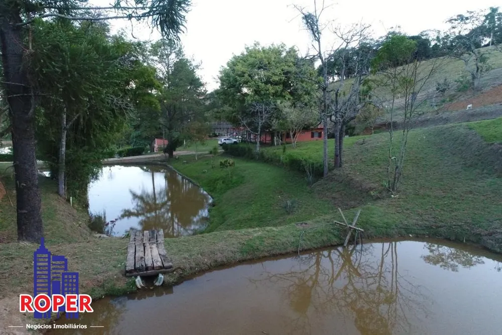 Sítio, 3 quartos, 5 hectares - Foto 9