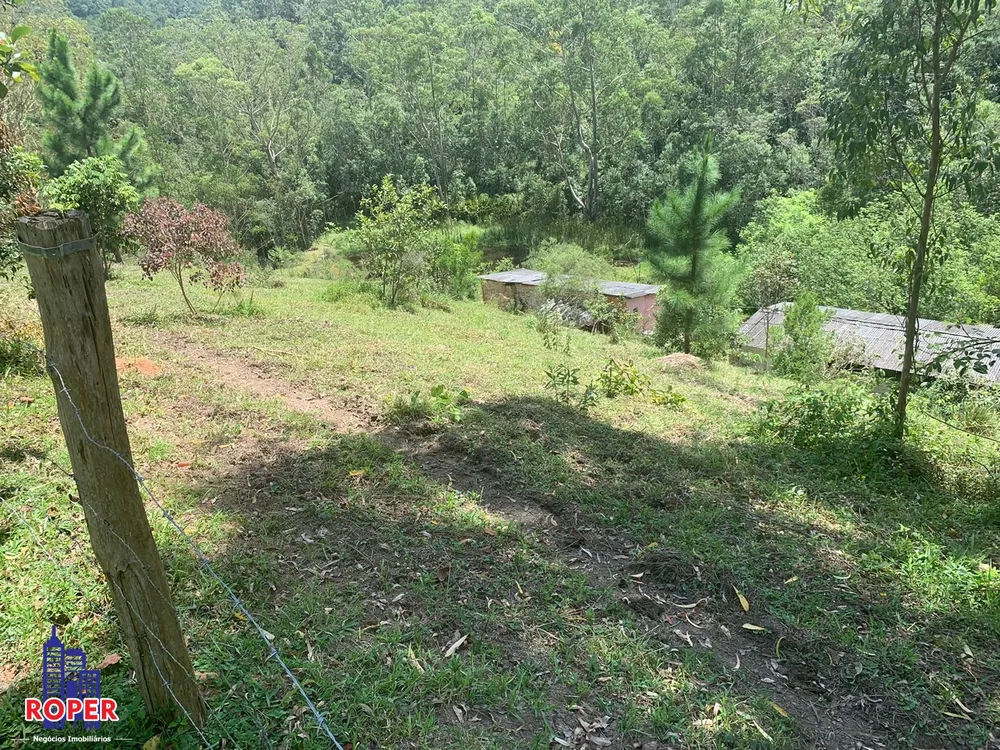 Chácara, 4 quartos, 4 hectares - Foto 20