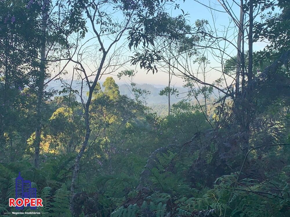 Chácara, 4 quartos, 4 hectares - Foto 6