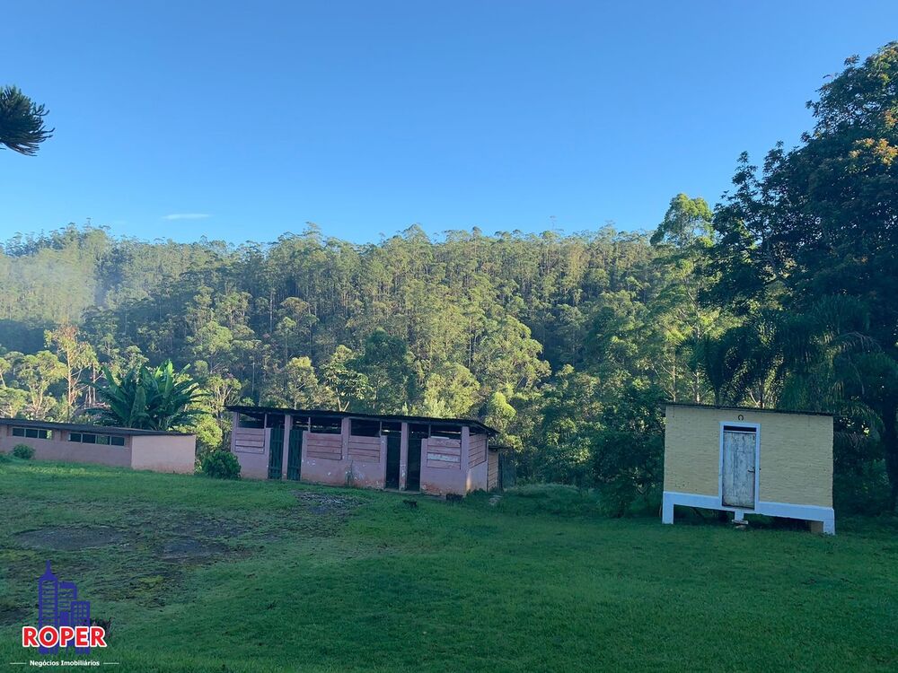 Chácara, 4 quartos, 4 hectares - Foto 1