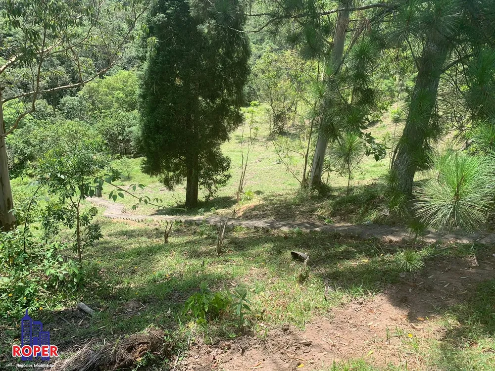 Chácara, 4 quartos, 4 hectares - Foto 19