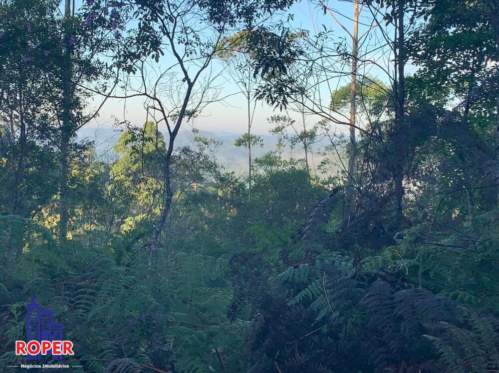 Chácara, 4 quartos, 4 hectares - Foto 5