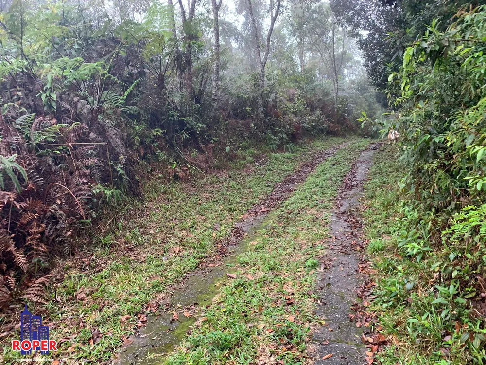 Chácara, 4 quartos, 4 hectares - Foto 7