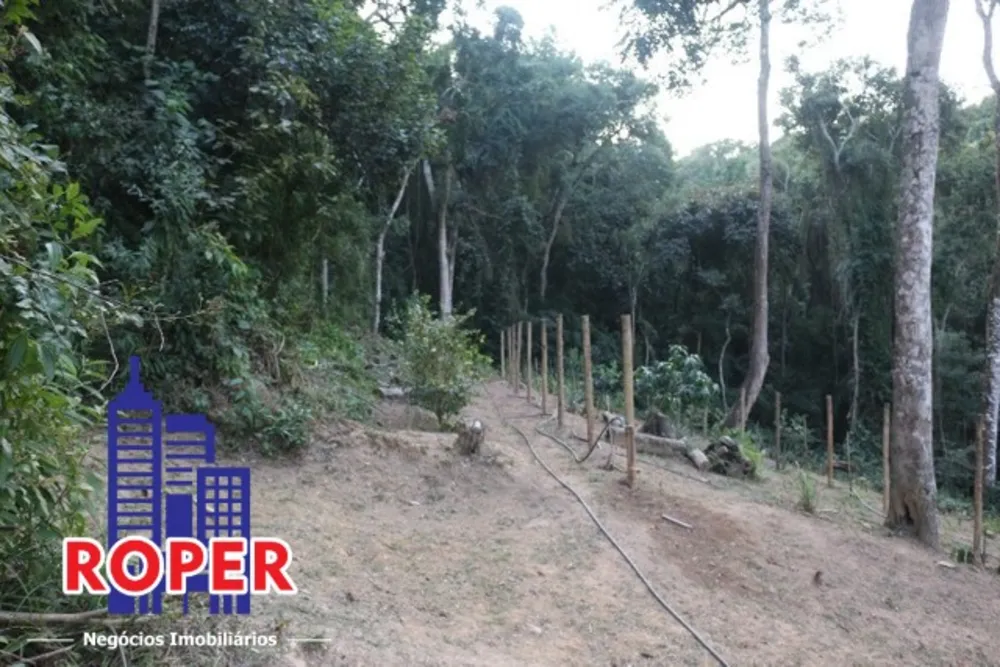 Sítio, 4 quartos, 2 hectares - Foto 11