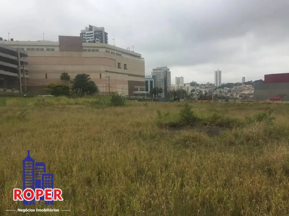 Terreno, 19 hectares - Foto 1