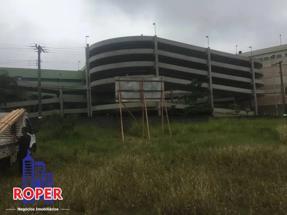 Terreno, 19 hectares - Foto 4