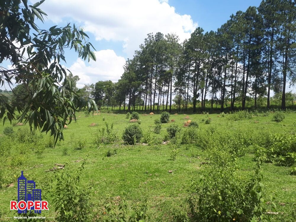 Chácara, 6 quartos, 5 hectares - Foto 1