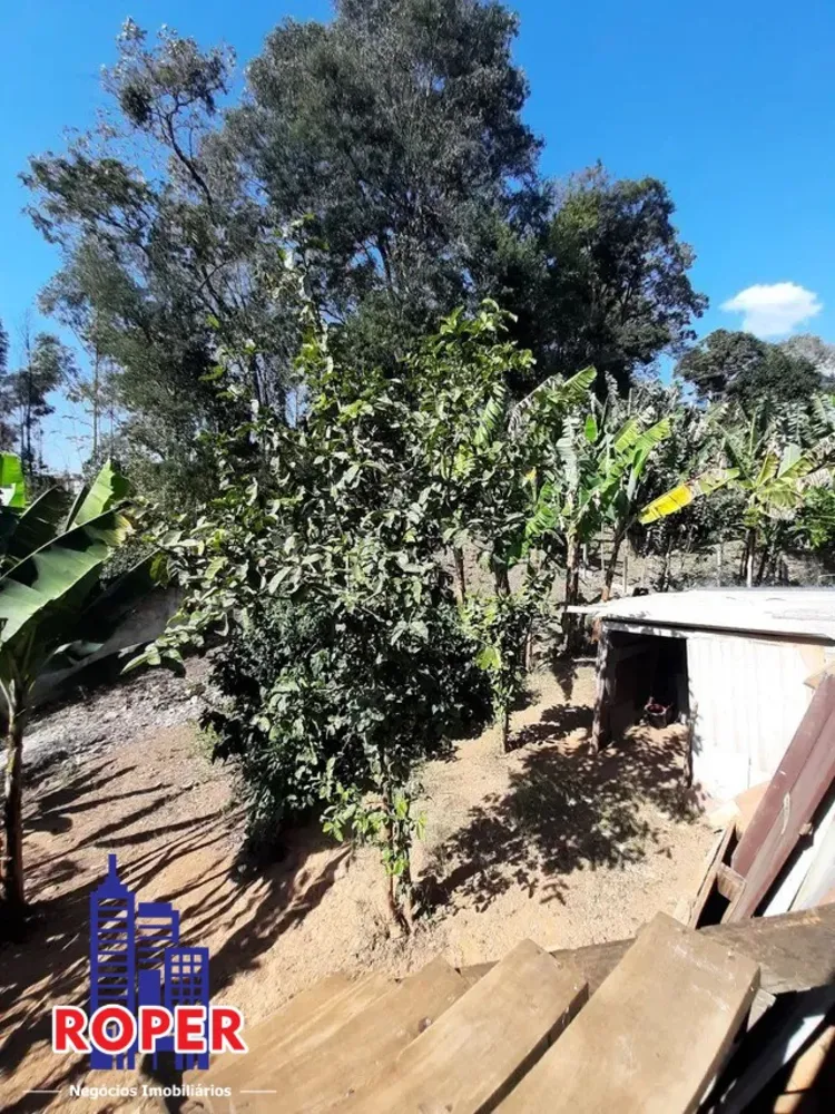 Chácara, 2 quartos, 1600 m² - Foto 16