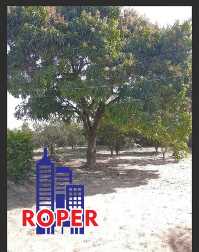 Chácara, 3 quartos, 2100 m² - Foto 20