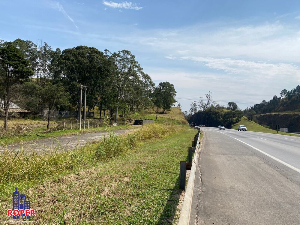 Terreno, 21 hectares - Foto 3