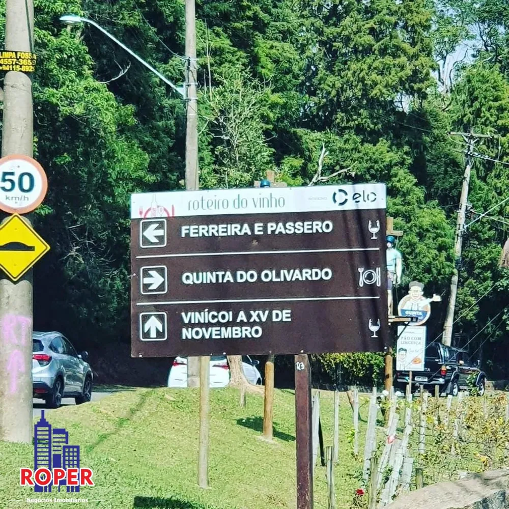 Chácara, 4 quartos, 10000 m² - Foto 16
