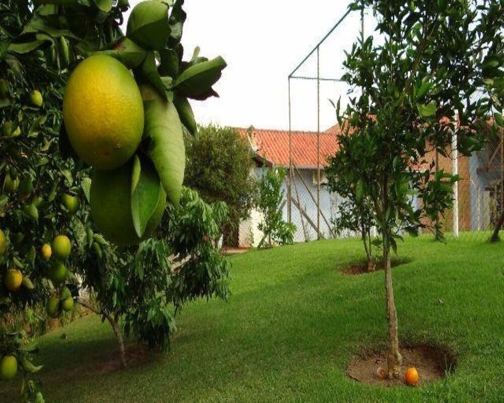 Chácara, 3 quartos, 1760 m² - Foto 2