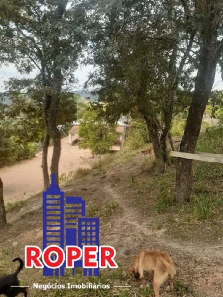 Chácara, 3 quartos, 1 hectares - Foto 1
