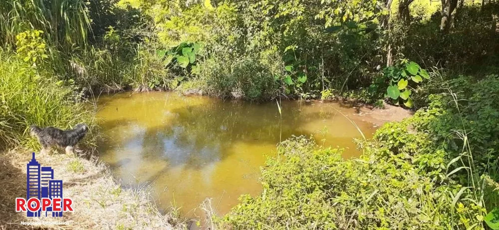 Chácara à venda com 3 quartos, 20000m² - Foto 21