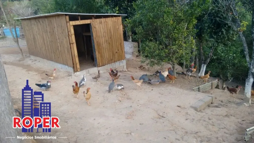 Sítio, 6 quartos, 3 hectares - Foto 9