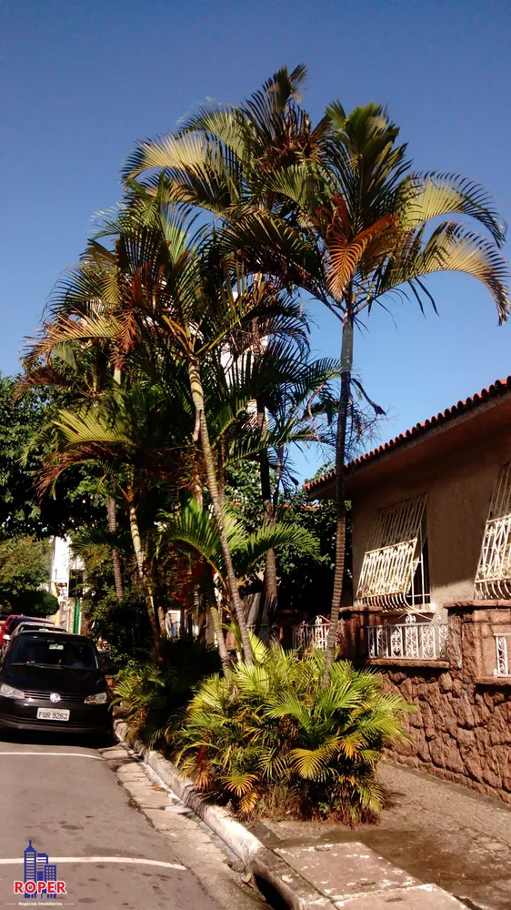Casa, 3 quartos, 400 m² - Foto 3