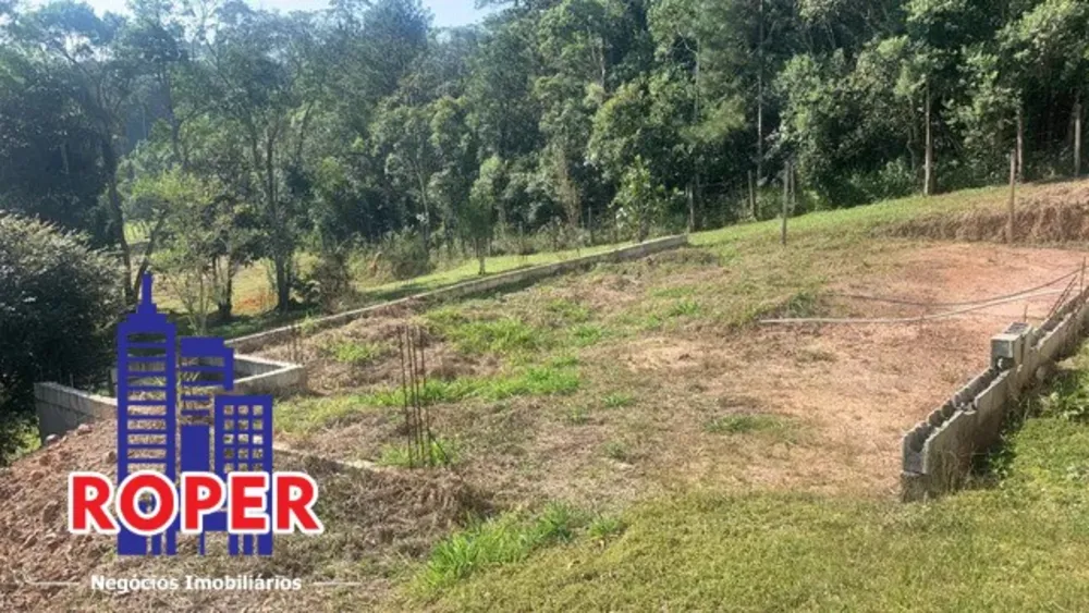 Chácara, 4 quartos, 6800 m² - Foto 7