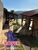 Chácara, 3 quartos, 1380 m² - Foto 6