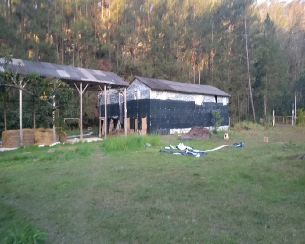 Chácara, 3 quartos, 1 hectares - Foto 10